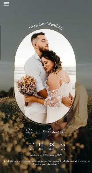 Oval gold frame wedding countdown theme with an outdoor couple portrait