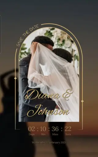 Gold arch save the date wedding countdown theme with script names over a veil photo